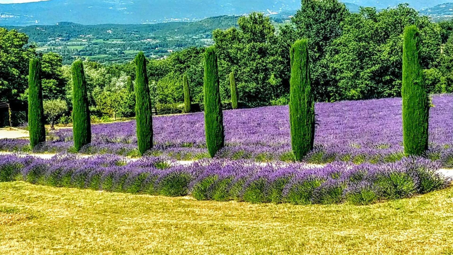 Le Mas De Roussillon Roussillon en Isere Εξωτερικό φωτογραφία