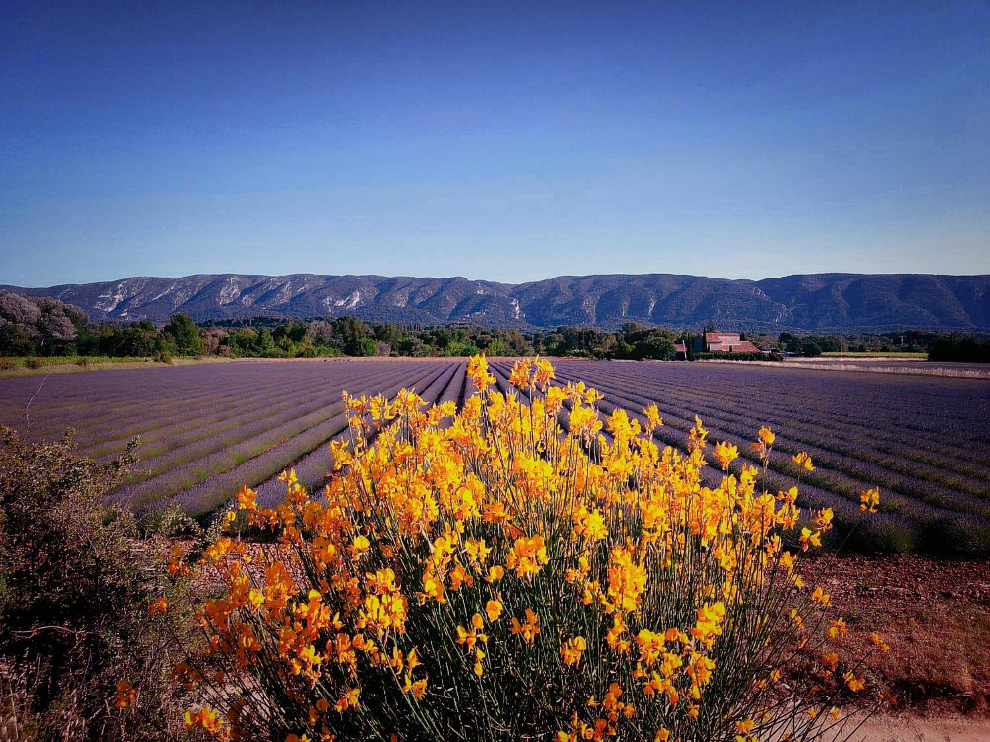 Le Mas De Roussillon Roussillon en Isere Εξωτερικό φωτογραφία
